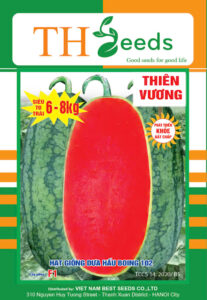 dưa hấu lại boing 102