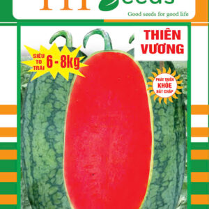 dưa hấu lại boing 102