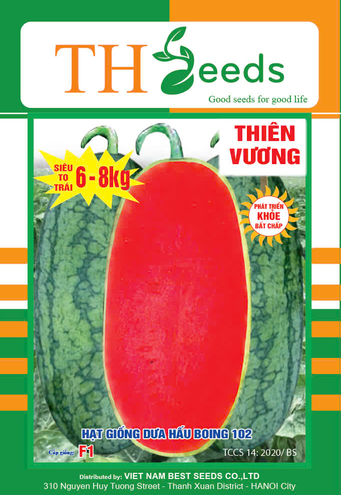 dưa hấu lại boing 102