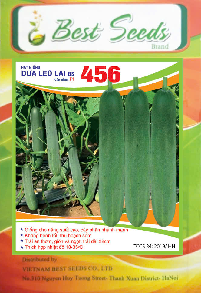 dưa chuột bs456