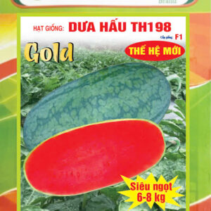 dưa hấu