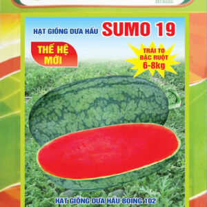 Dưa Hấu Sumo 18 Giống Dưa Cao Cấp, Triển Vọng Kinh Tế và Kỹ Thuật Canh Tác Chuyên Sâu