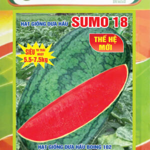 dưa hấu sumo